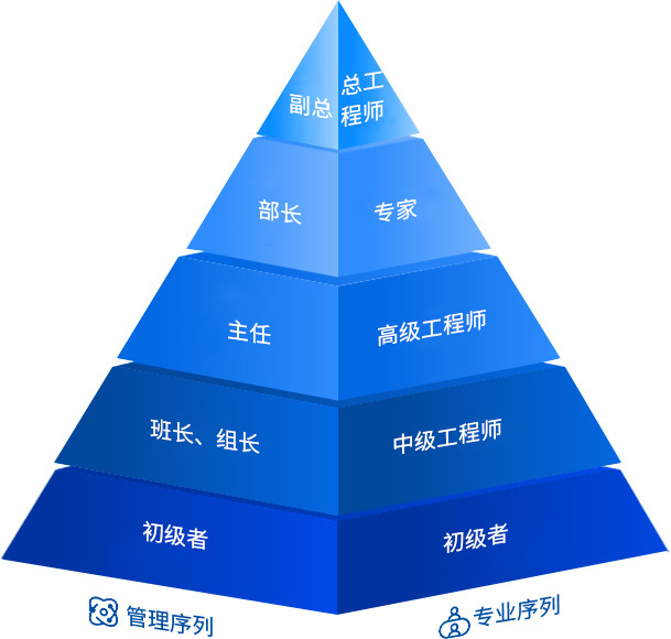 天游WEB之星